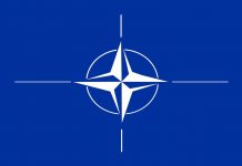 How Many Countries Are in NATO? How Many Countries are in NATO