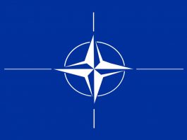 How Many Countries Are in NATO? How Many Countries are in NATO